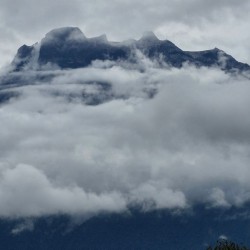 I had such an amazing trip with Amazing Borneo!